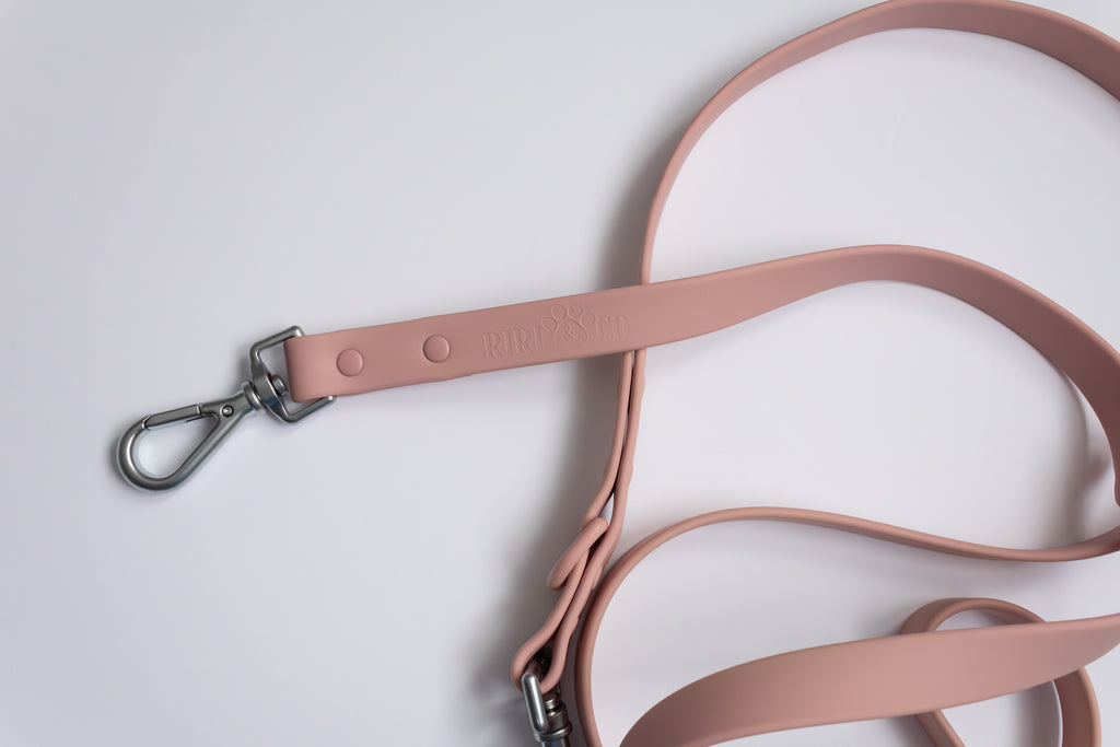 Laisse PVC - Brume de Pétale