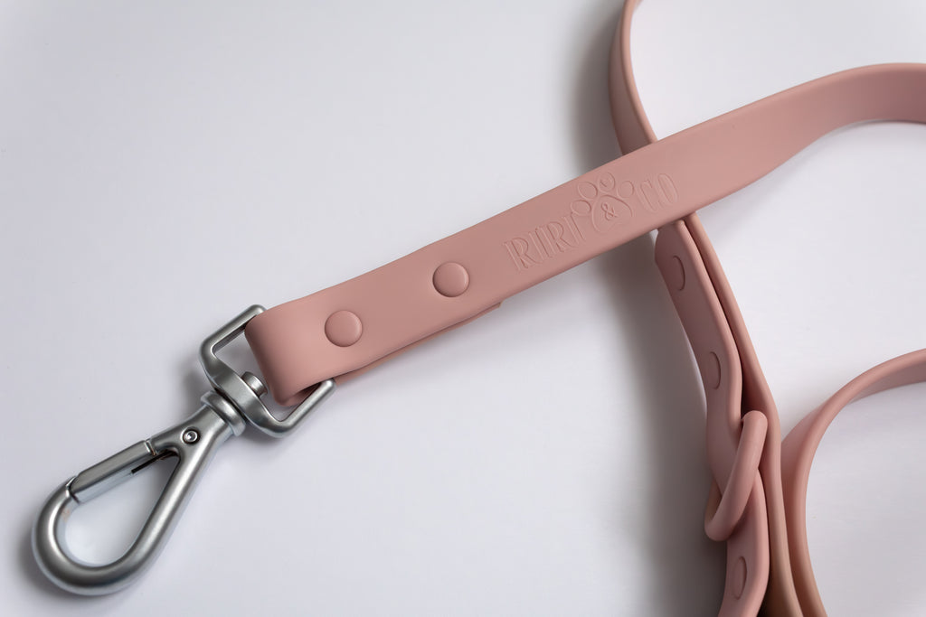 Laisse PVC - Brume de Pétale