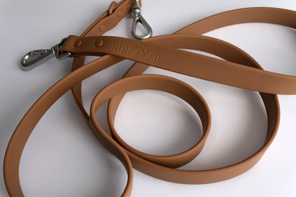 Laisse PVC - Brume de Sienne