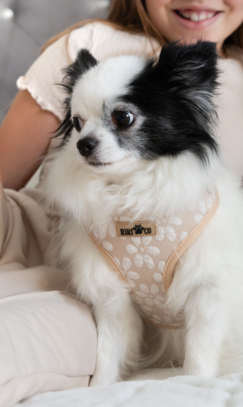 Harnais - Fleur de Sable