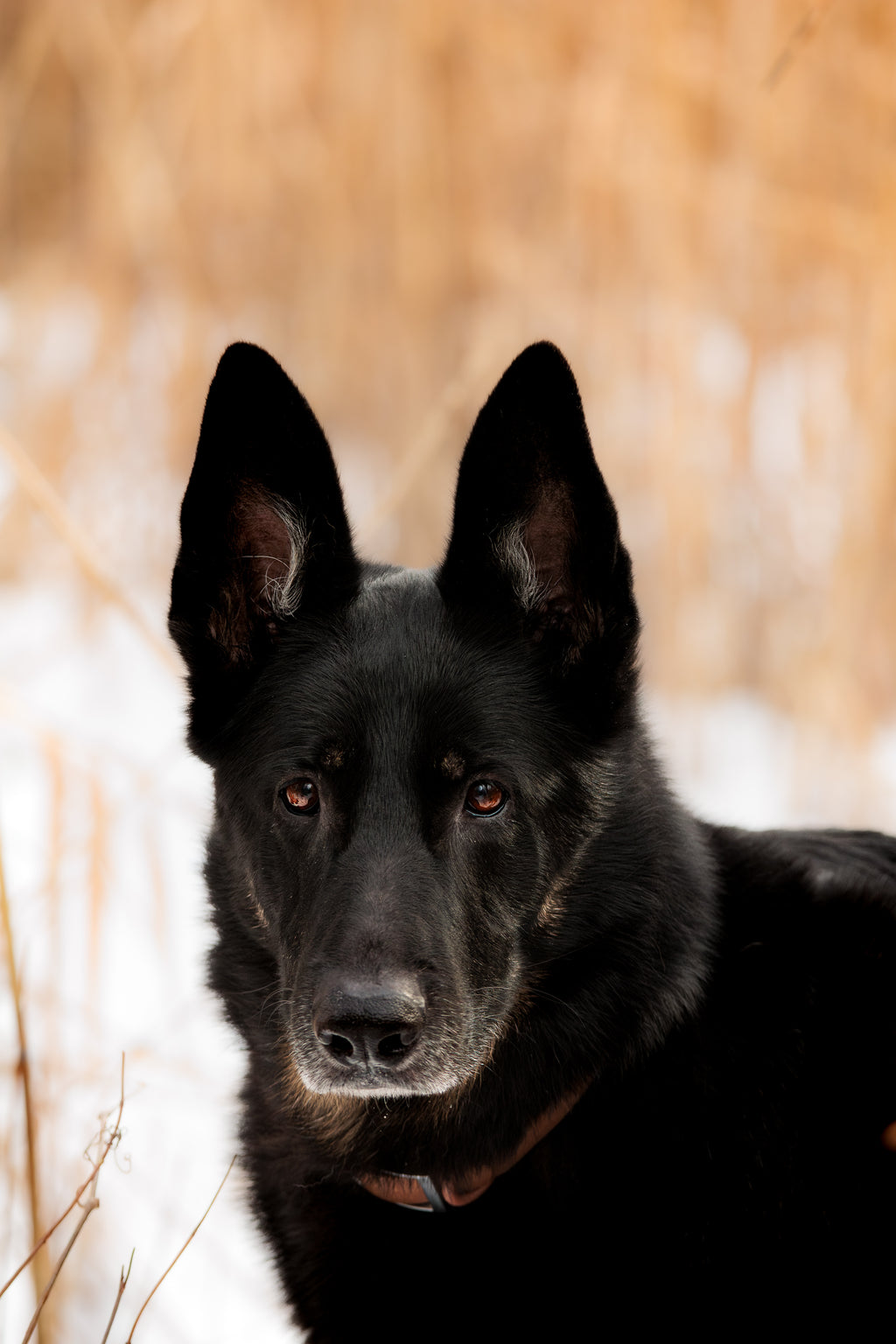 Collier PVC - Brume de Sienne