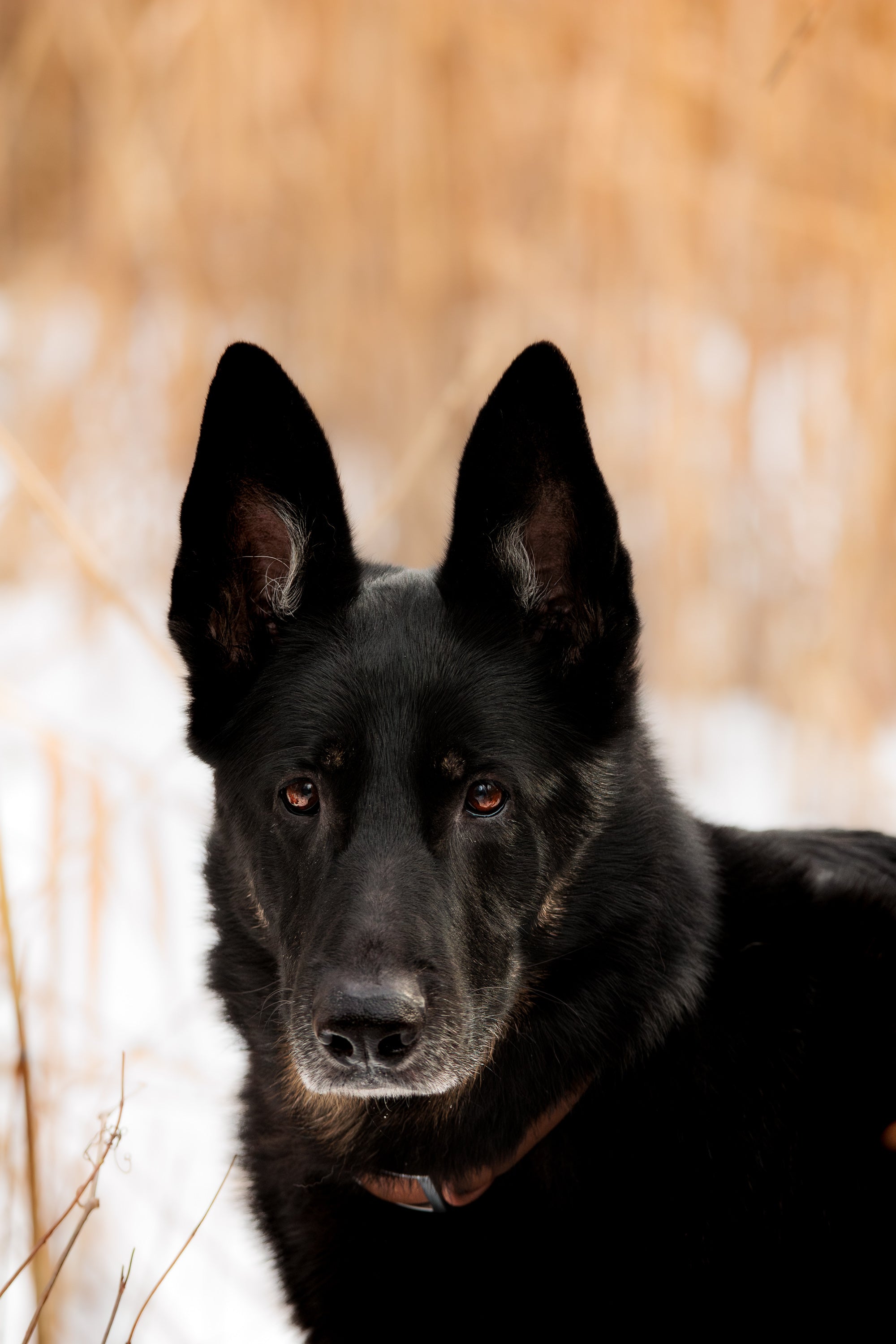 Collier PVC - Brume de Sienne