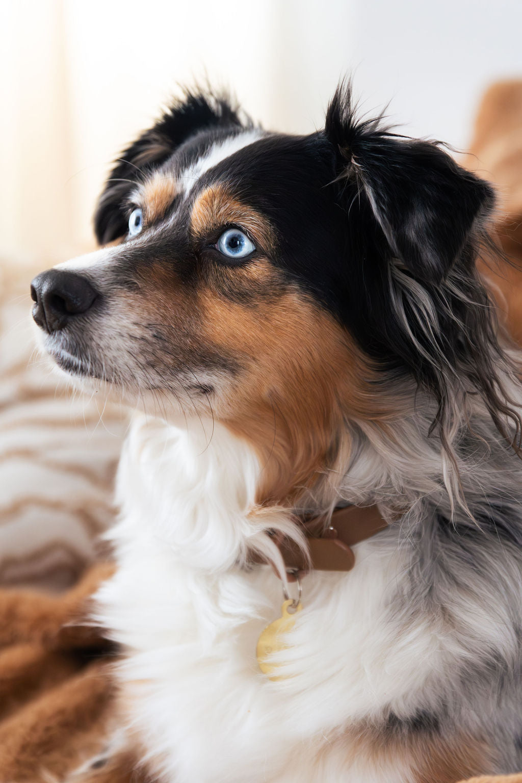 Collier PVC - Brume de Sienne