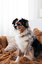 Collier PVC - Brume de Sienne