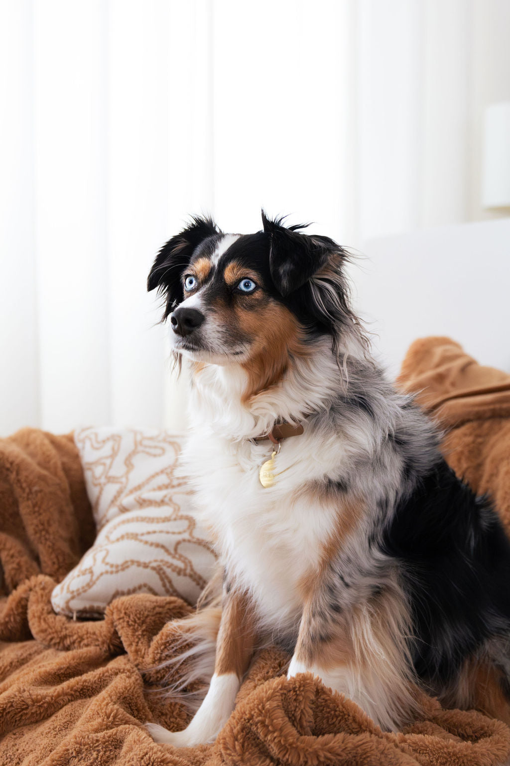 Collier PVC - Brume de Sienne