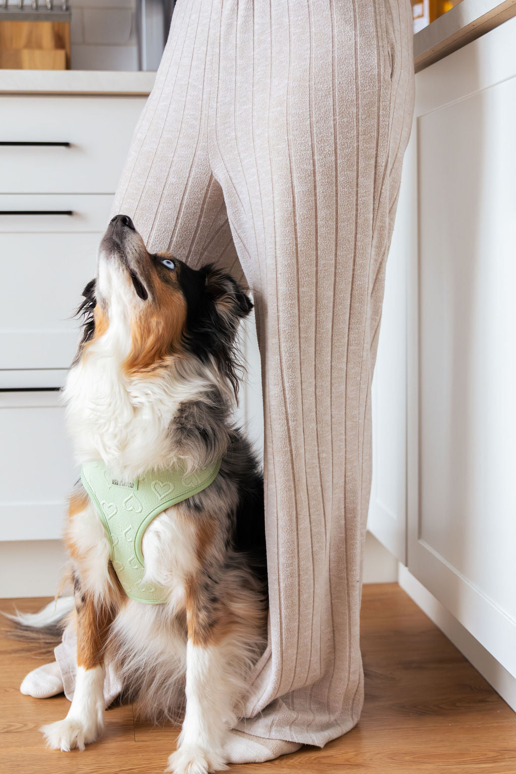 Harnais - Coeur de Mousse