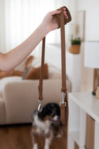 Laisse PVC - Brume de Sienne