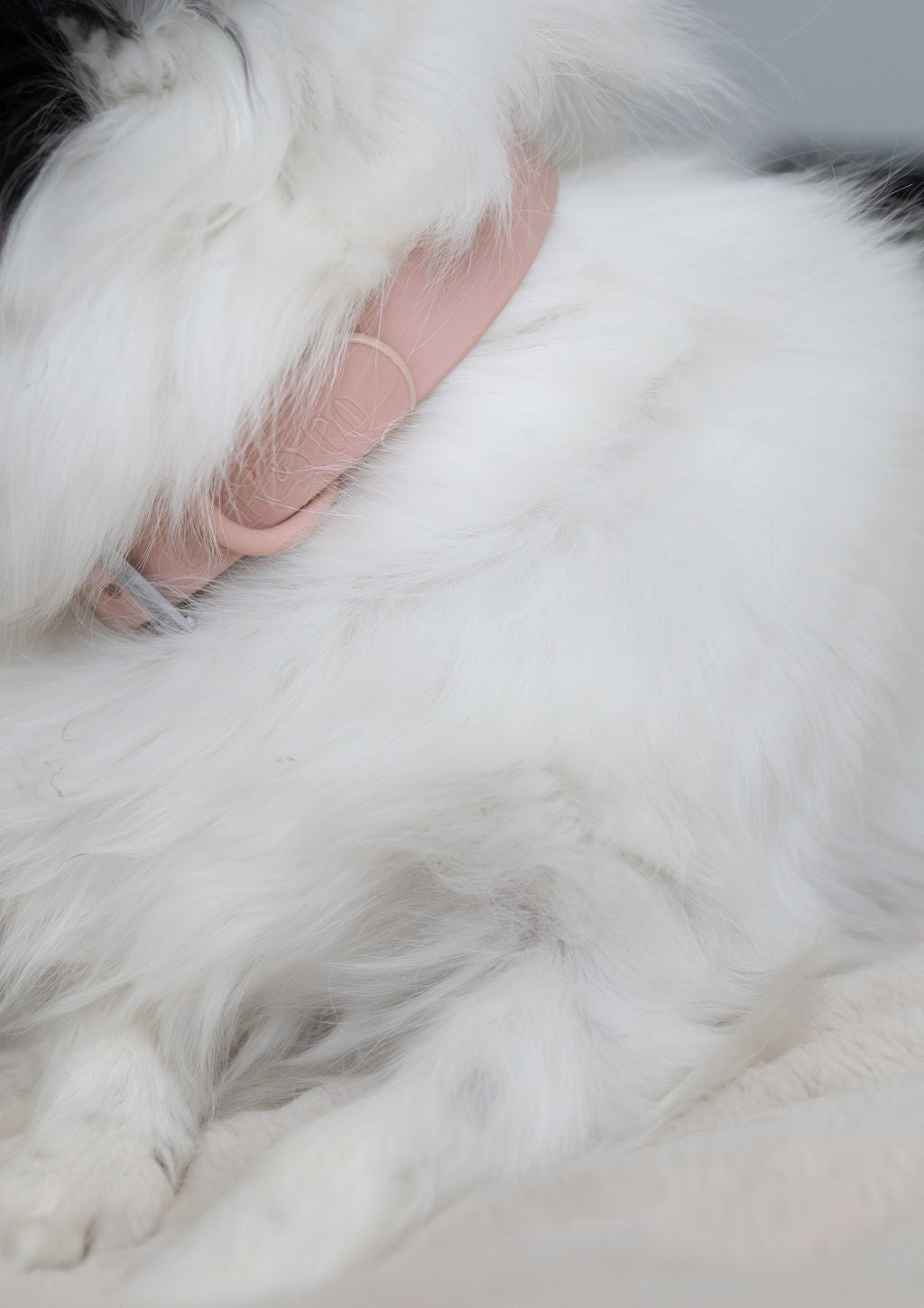 Collier PVC - Brume de Pétale