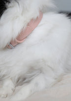 Collier PVC - Brume de Pétale