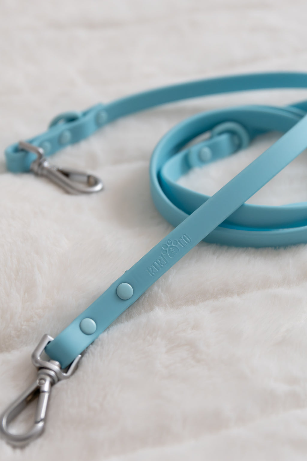 Laisse PVC - Brume de Nuage