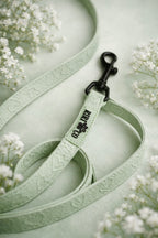 Laisse - Coeur de Mousse