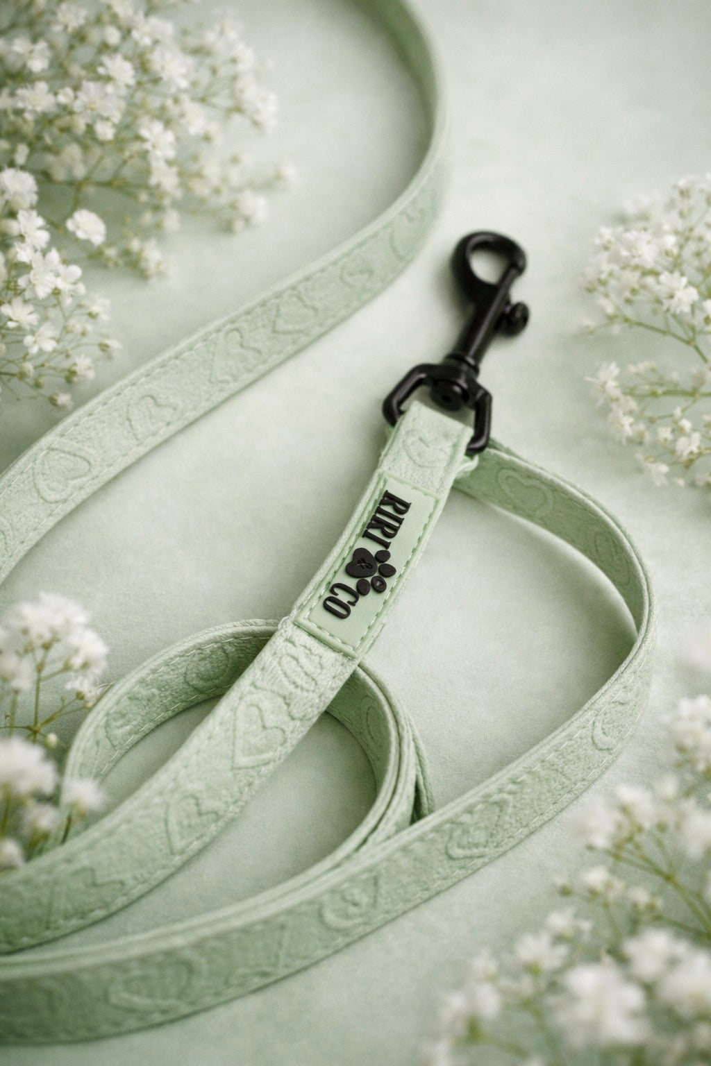 Laisse - Coeur de Mousse