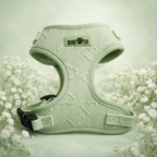 Harnais - Coeur de Mousse