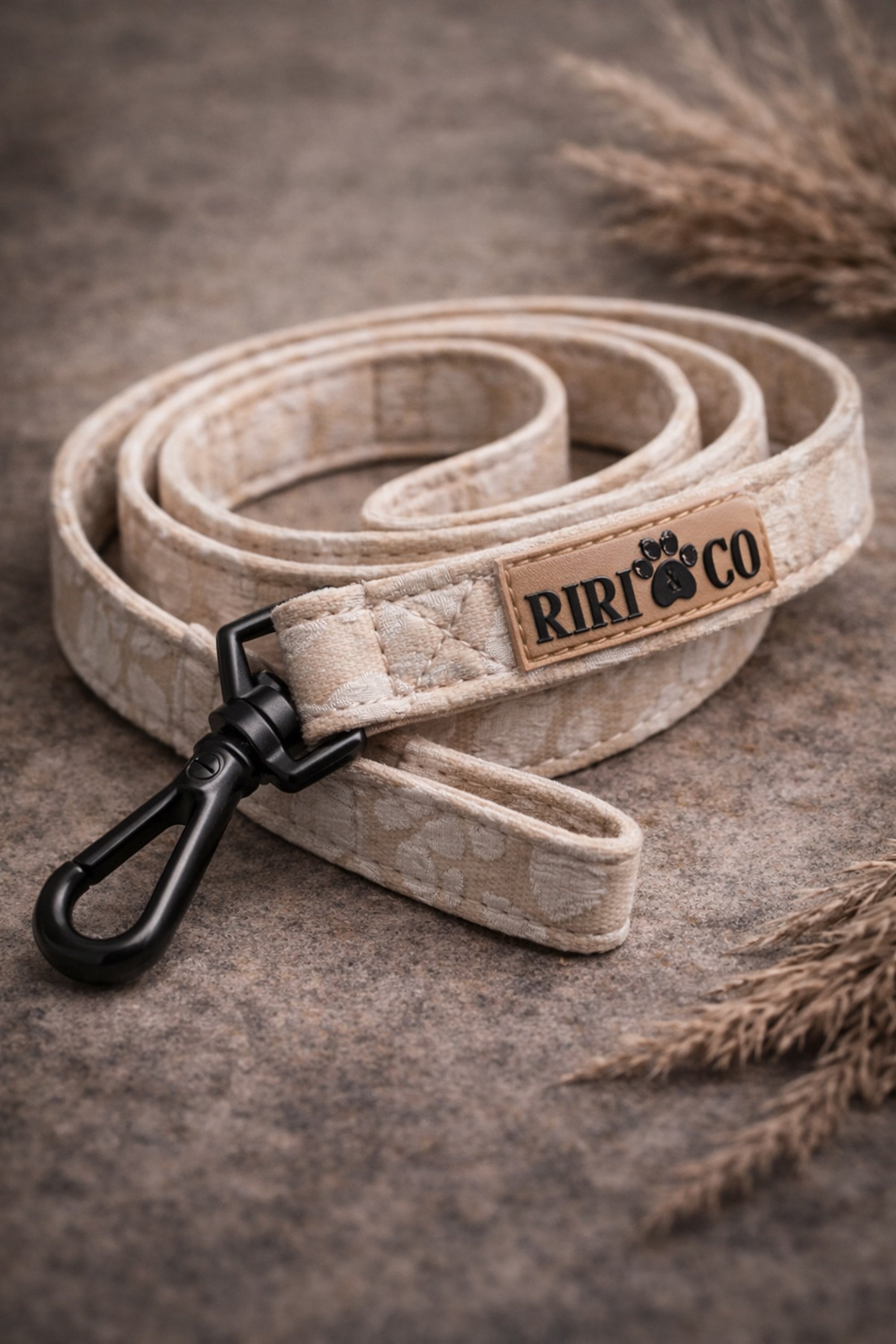 Laisse - Fleur de Sable