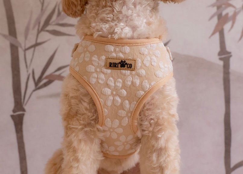 Harnais - Fleur de Sable