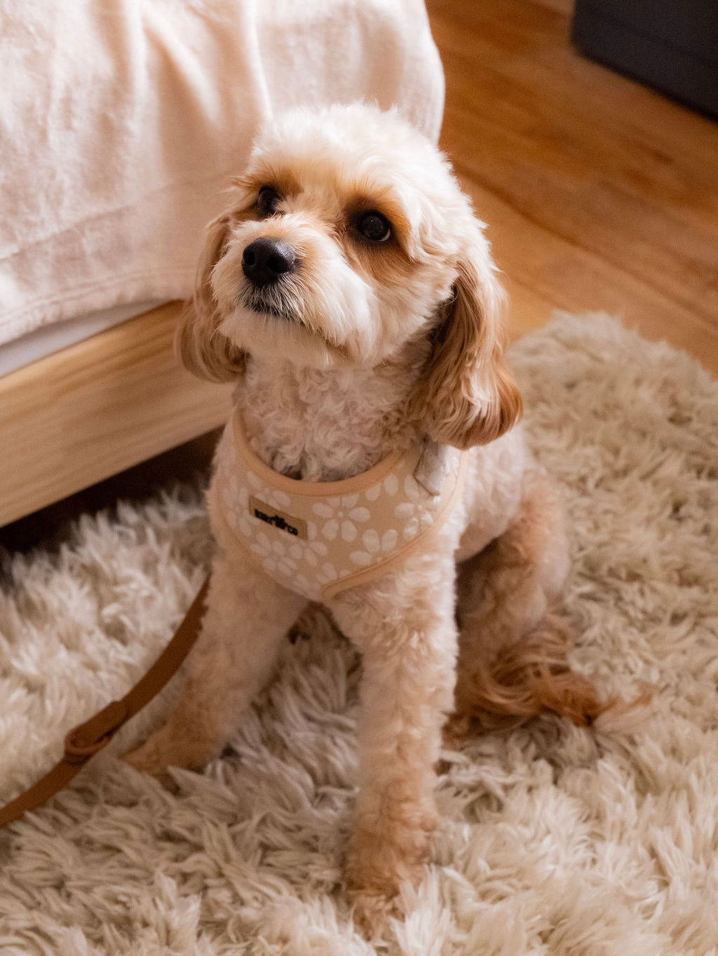 Harnais - Fleur de Sable