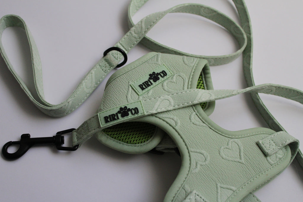 Harnais - Coeur de Mousse