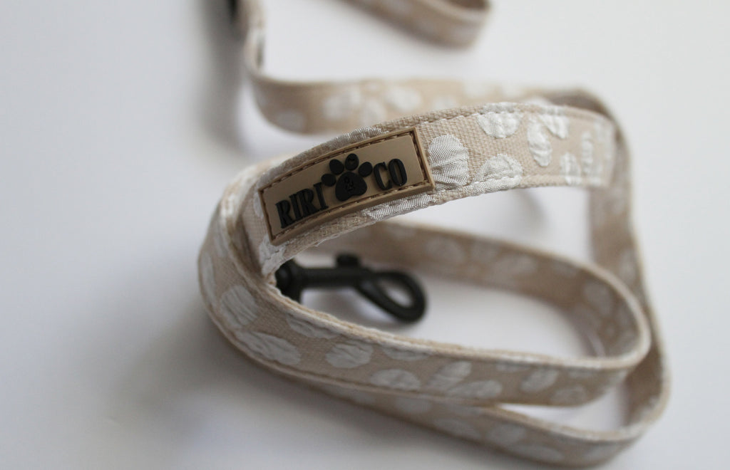 Laisse - Fleur de Sable