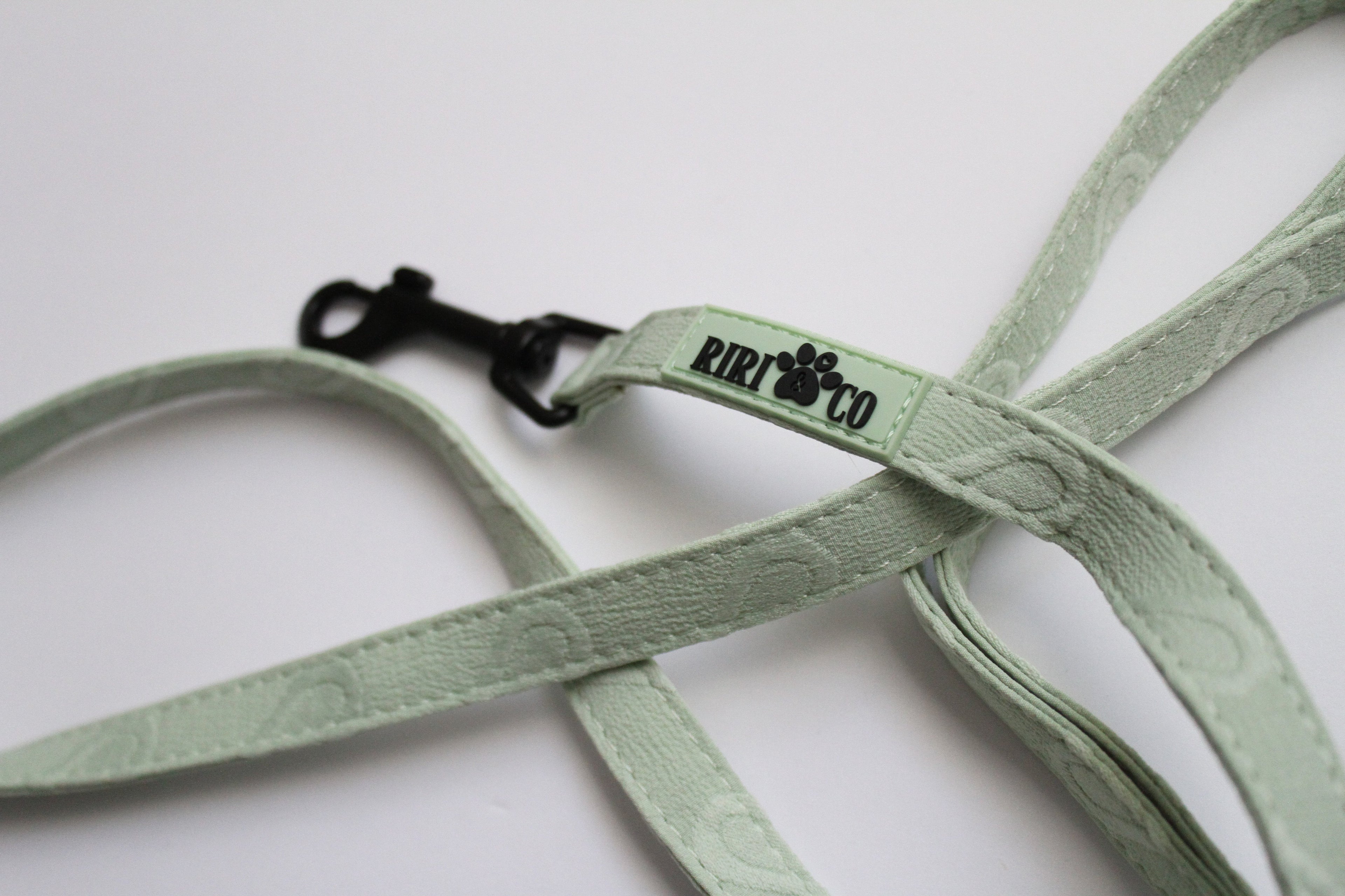 Laisse - Coeur de Mousse