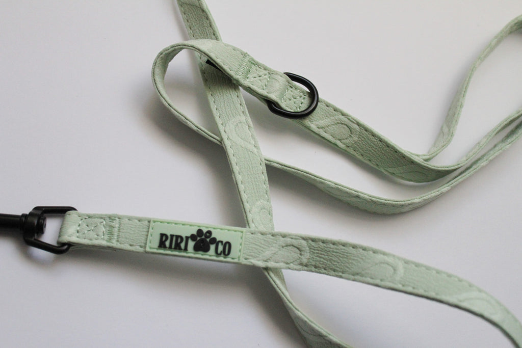 Laisse - Coeur de Mousse