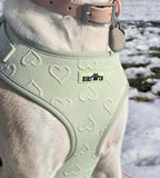 Harnais - Coeur de Mousse