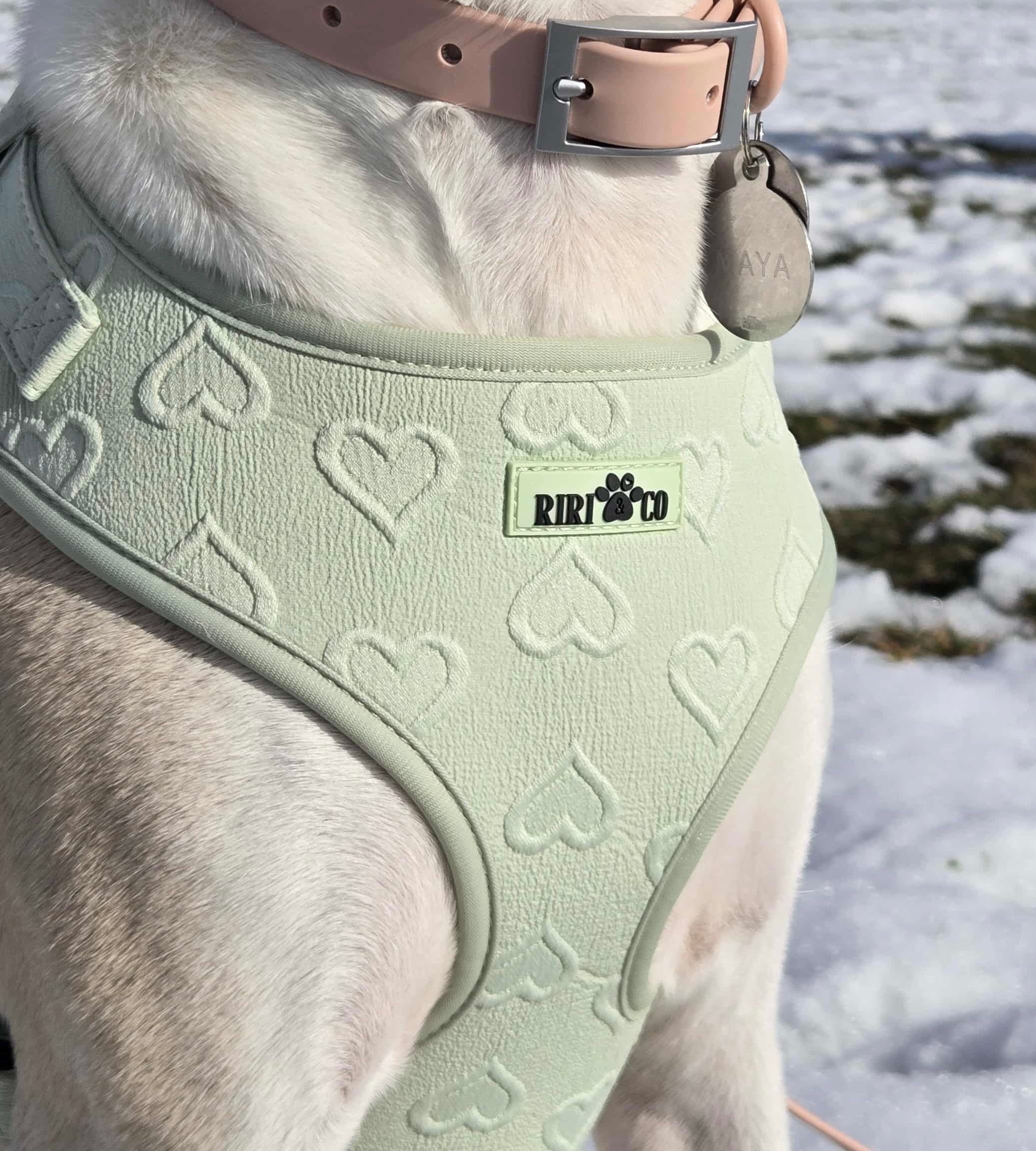 Harnais - Coeur de Mousse