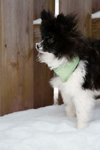 Harnais - Coeur de Mousse